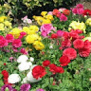 Meet your Posher, S.